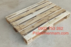 Pallet Củ Chi HCM