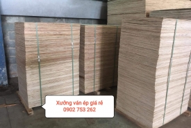 XƯỞNG VÁN ÉP GIÁ RẺ BÌNH PHƯỚC