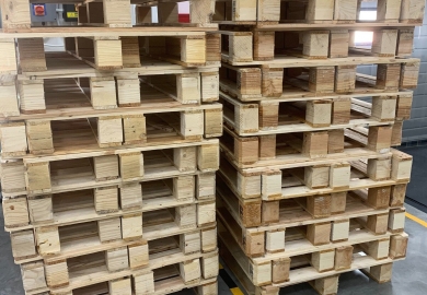 Pallet gỗ tái sử dụng tại Cụm công nghiệp Chế biến thực phẩm An Bình Đồng Tháp