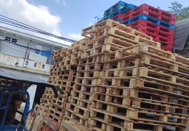 Pallet gỗ tái sử dụng tại KCN Phan Thiết Bình Thuận