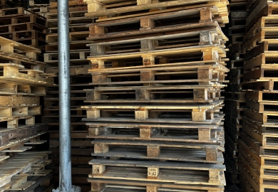 Pallet gỗ tái sử dụng tại KCN Hàm Kiệm Bình Thuận