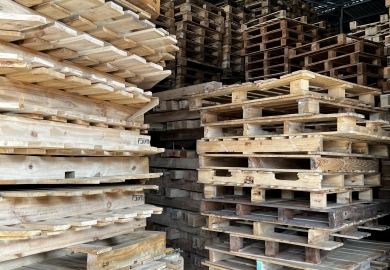 Pallet gỗ tái sử dụng tại Cụm công nghiệp – dịch vụ- thương mại Trường Xuân Đồng Tháp