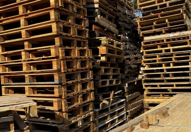 Pallet gỗ tái sử dụng tại Cụm công nghiệp Phong Mỹ Đồng Tháp