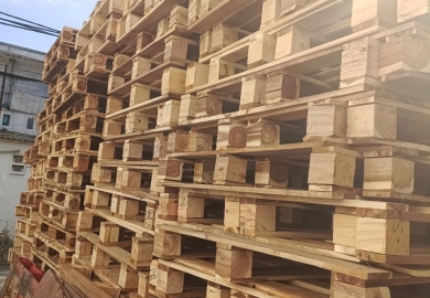 Pallet gỗ tái sử dụng tại Cụm công nghiệp thị trấn Cái Tàu Hạ – An Nhơn Đồng Tháp